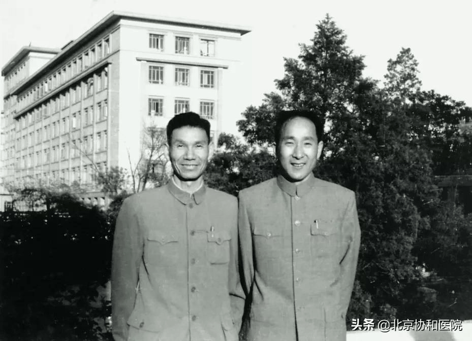 曹阿瞒许田打围,董国舅内阁受诏。是什么生肖的警惕虚假宣传-全面释义、构建解答解释落实