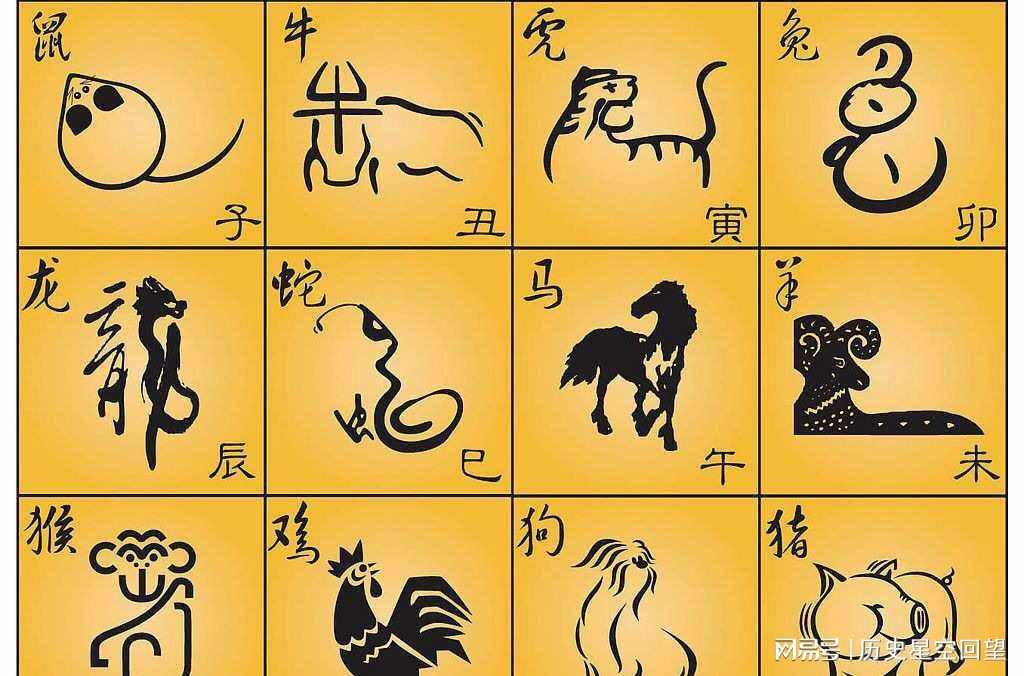幸运之神来我家，不中六合都很难是指那个生肖仔细释义、解释与落实、实时解答解释落实