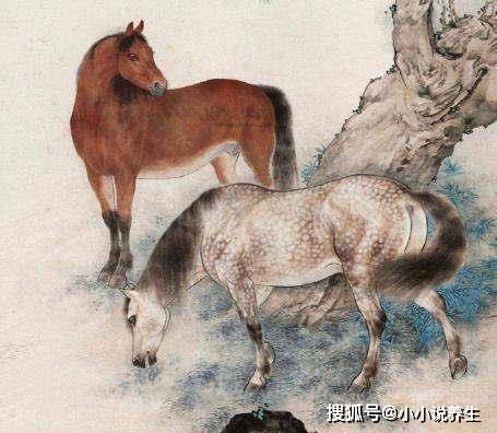 心有所感村头立,泪满衣襟面对面指猜打一最佳精准生肖,警惕虚假宣传-全面释义、解释与落实、专家解答解释落实